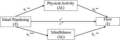 The impacts of mind-wandering on flow: Examining the critical role of physical activity and mindfulness